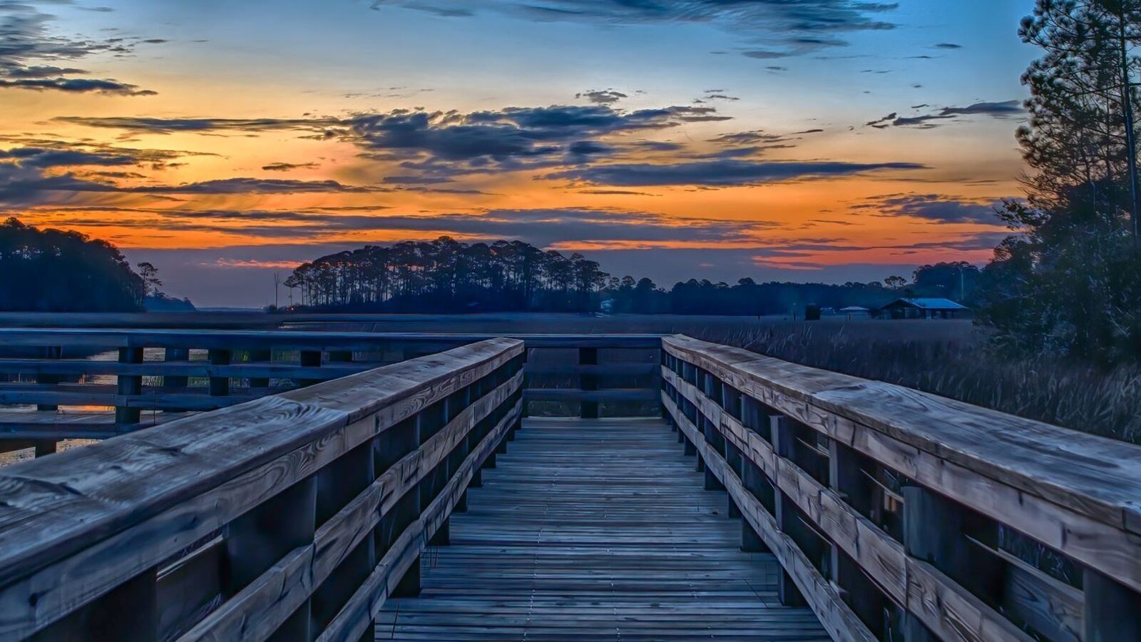Local digital marketing agency serving Gautier MS, Magnolia Digital